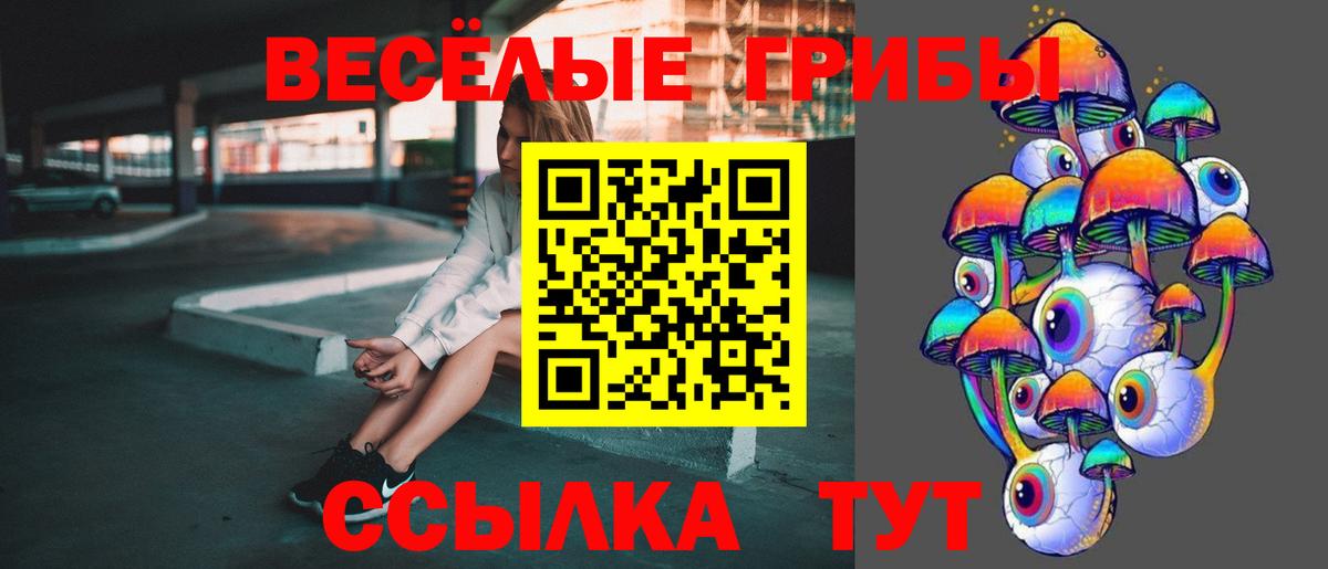 Псилоцибиновые грибы Psilocybe  Вход с VPN  Таганрог 